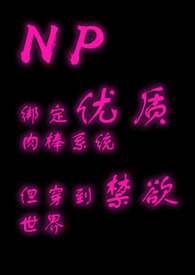 [NP]���������ϵͳ����������������