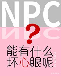 NPCʲô[]